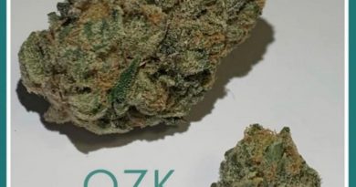 ozk by snoop's premium nutrients strain review by the_originalcannaseur