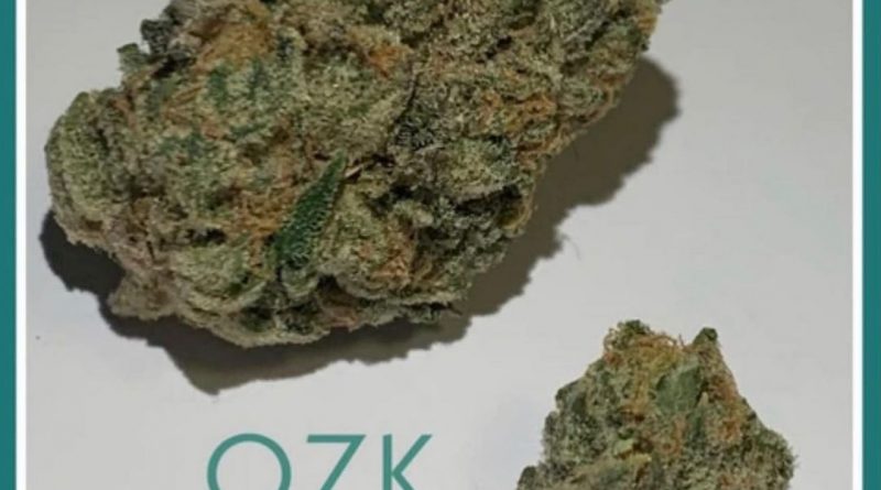 ozk by snoop's premium nutrients strain review by the_originalcannaseur