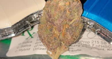 venom og by bobby mac's personals strain review by sjweed.review