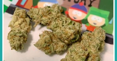 cake crashers from trichome factory strain review by the_originalcannaseur