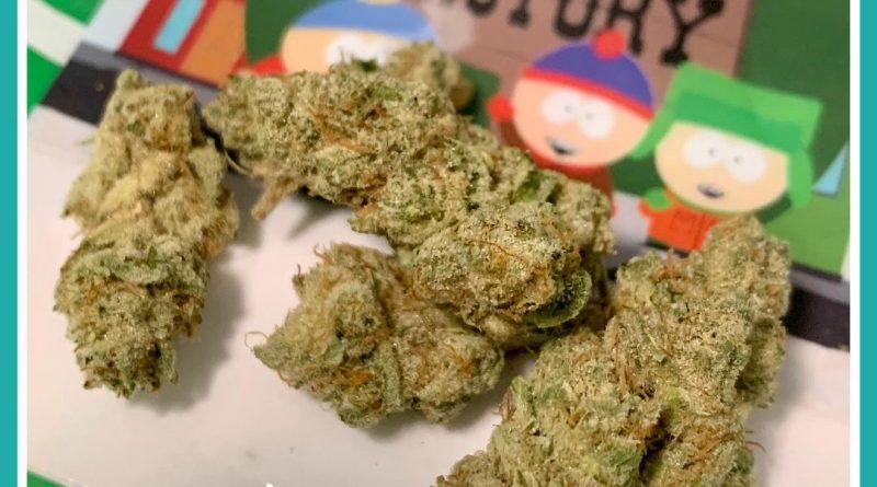 cake crashers from trichome factory strain review by the_originalcannaseur