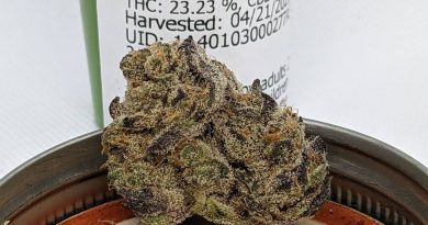 first class funk by lowd strain review by pdxstoneman