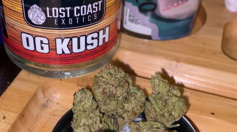 og kush by lost coast exotics strain review by trunorcal420 2