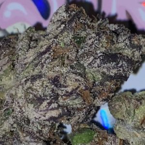 pink pastry's by pastry's strain review by trunorcal420