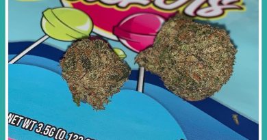 suckers by the tenco strain review by the_originalcannaseur
