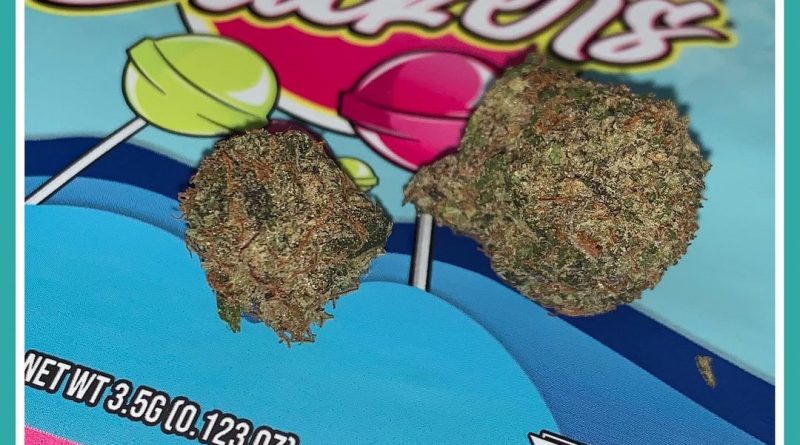 suckers by the tenco strain review by the_originalcannaseur