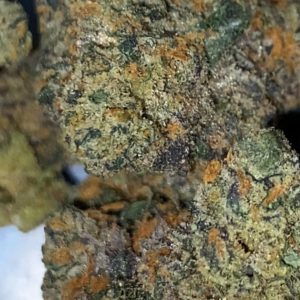 biscotti by tradecraft farms strain review by trunorcal420