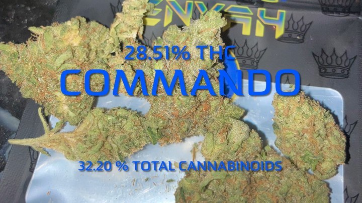 commando by king klone strain review by sjweedreview