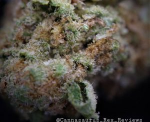 pink rozay by ridgeline farms strain review by cannasaurus_rex_reviews 2