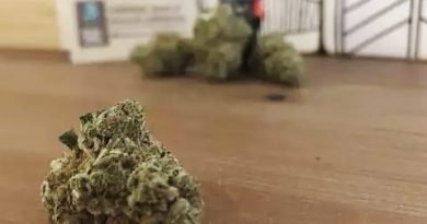 8 ball kush by 18twelve strain review by terple grapes