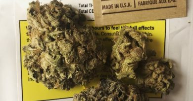 berry white by caliber strain review by terple grapes