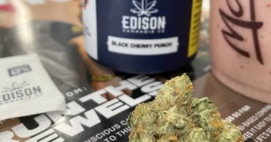 black cherry punch by edison cannabis co strain review by terple grapes