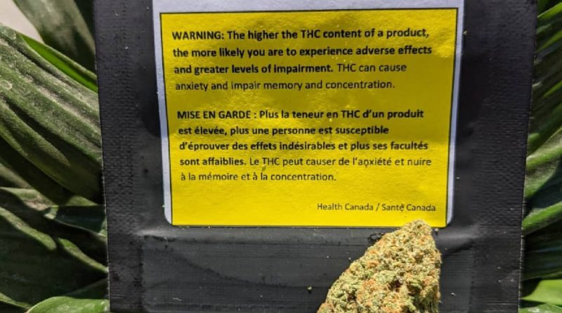 gaelic fire by highland grow strain review by terple grapes