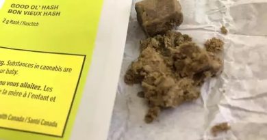 good ol' hash by good supply concentrate review by terple grapes