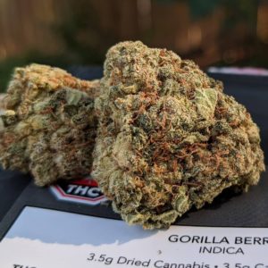 gorilla berry by greenseal strain review by terple grapes 2