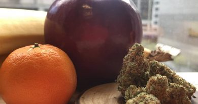 lemon berry by -ness strain review by terple grapes