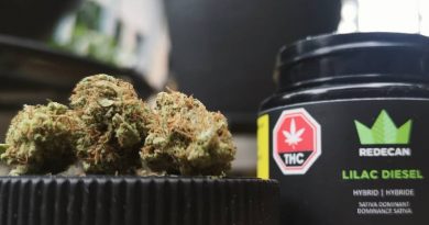 lilac diesel by redecan strain review by terple grapes