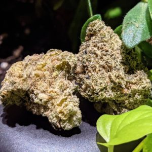 mule fuel by sugarbud strain review by terple grapes 2