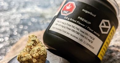 prenup by sugarbud strain review by terple grapes