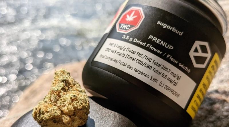 prenup by sugarbud strain review by terple grapes