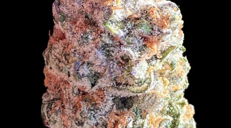 9 pound hammer by red dirt raised strain review by okcannacritic