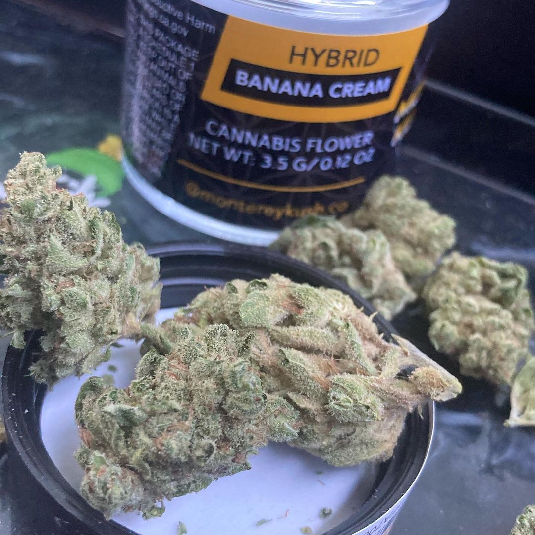 Strain Review Banana Cream By Monterey Kush Co The Highest Critic   Banana Cream By Monterey Kush Co Strain Review By Sjweedreview 