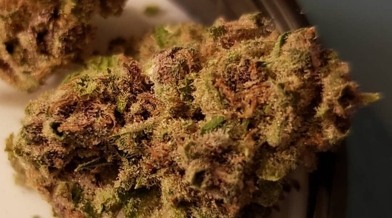 blue cheese by ilera healthcare strain review by yourhostnoah