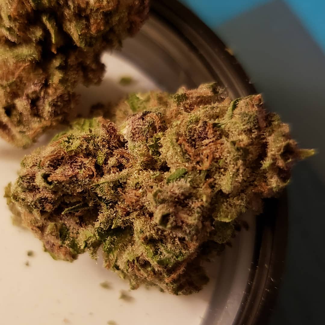 blue cheese by ilera healthcare strain review by yourhostnoah