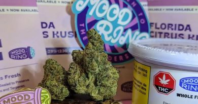 florida citrus kush by mood ring strain review by terple grapes