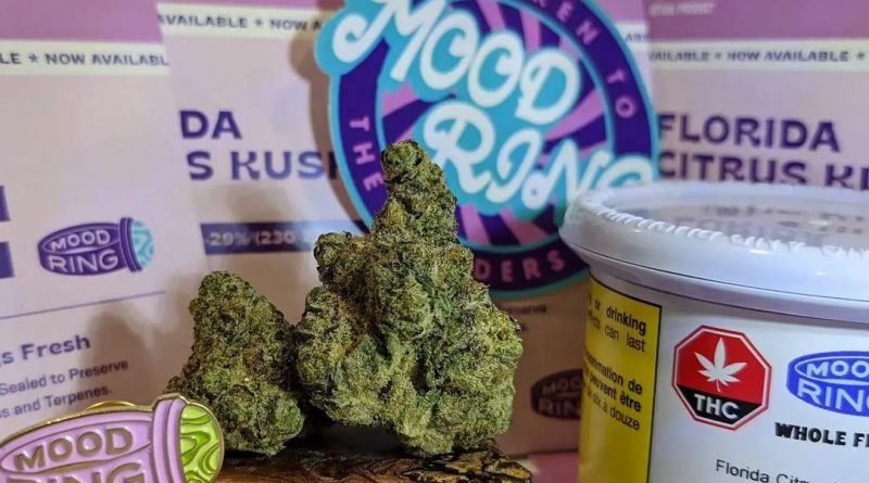 florida citrus kush by mood ring strain review by terple grapes