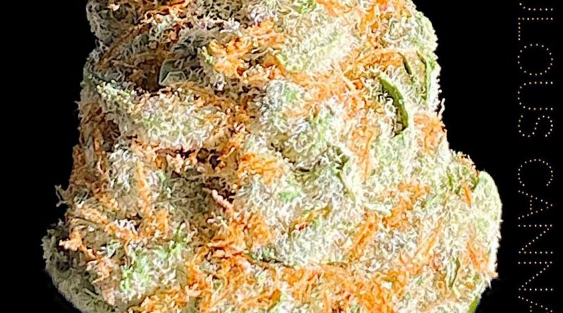 golden tangie by fabulous cannabis co. strain review by okcannacritic