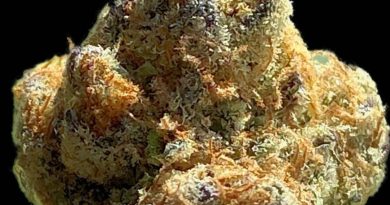 incredible velvet by talking headz co-op strain review by okcannacritic