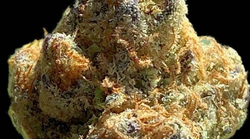 incredible velvet by talking headz co-op strain review by okcannacritic