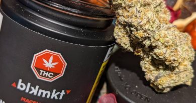 macflurry by blkmkt strain review by terple grapes