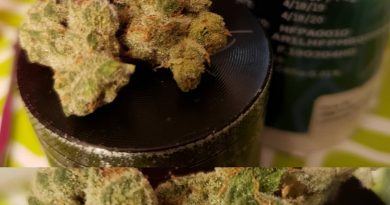 mendo roze by liberty cannabis strain review by yourhostnoah