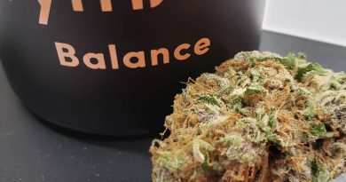 moonrise by rythm strain review by yourhostnoah