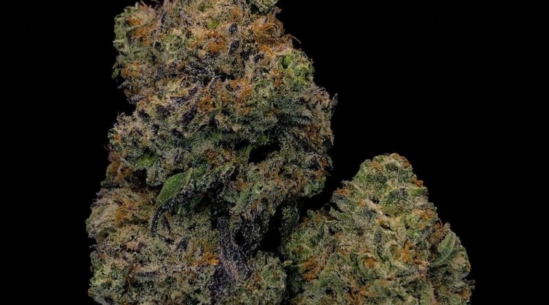 oz strain review by cannabisseur604
