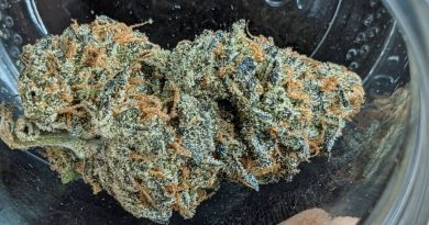 panama red by state 3 strain review by pdxstoneman