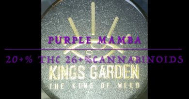 purple mamba by kings garden strain review by sjweedreview