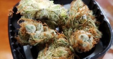 white sour by grassroots cannabis strain review by yourhostnoah