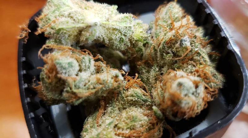 white sour by grassroots cannabis strain review by yourhostnoah