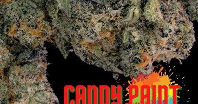 candy paint by dungeons vault genetics strain review by cannabisseur604 2
