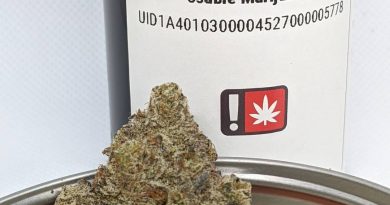 cold snap by focus north gardens strain review by pdxstoneman