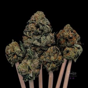 mk ultra 3 strain review by cannabisseur602 2