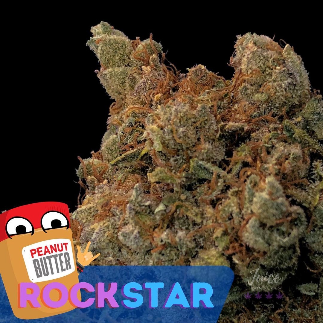 rockstar strain review