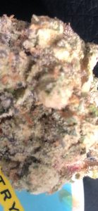 animal mints x ice cream cake by north country pharms strain review by caleb chen macr