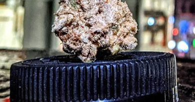 blue lime pie by wagner's strain review by terple grapes