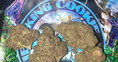 blue platinum 41 by the real king cookie strain review by sjweed.review