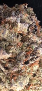 bubba diagonal by north country pharms strain review by caleb chen macro
