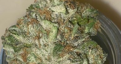 bubblegum by cannabiotix strain review by cali_bud_reviews